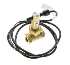 Interruptor de caudal de paleta en línea 2.8-6 l/min 100 bar G3/8'' latón