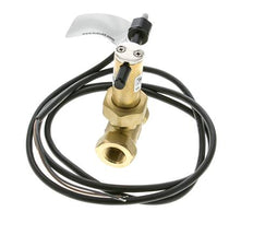 Interruptor de caudal de paleta en línea 2.8-6 l/min 100 bar G3/8'' latón