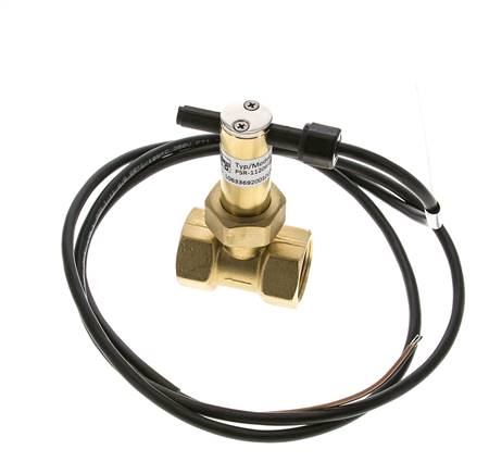 Interruptor de caudal de paleta en línea 7.7-13.4 l/min 100 bar G3/4'' latón