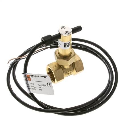 Interruptor de caudal de paleta en línea 7.7-13.4 l/min 100 bar G3/4'' latón