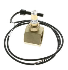 Interruptor de caudal de paleta en línea 34.8-64.2 l/min 25 bar G1 1/2'' latón