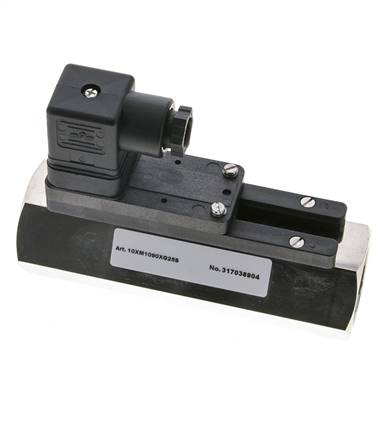 Interruptor de caudal de área variable para agua 30-90 l/min 250 bar G1'' de latón