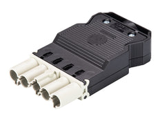 Conector Wieland Gesis Classic 5P Macho - 92.954.5553.0 [50 Piezas]