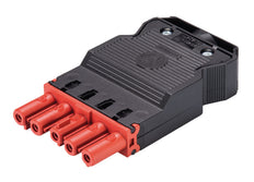 Wieland Gesis Classic Conector 5P Hembra Tornillo 20A - 92.953.5553.5 [50 Piezas]