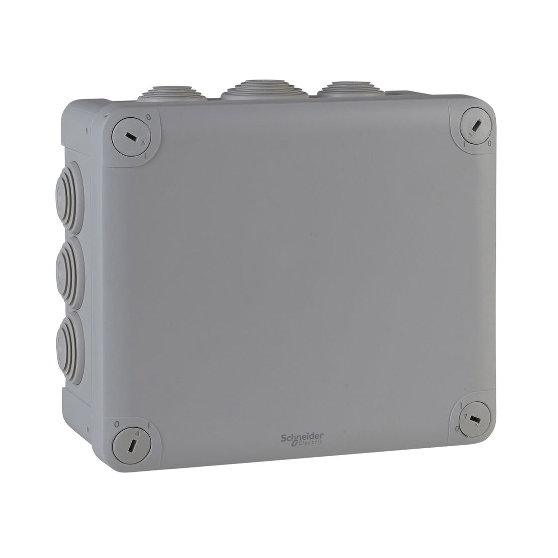 Schneider Electric Sarel MUREVA Caja De Pared/Techo Para Montaje En Superficie - ENN05010