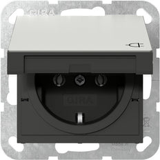 Gira Sistema 55 Acero Inoxidable Toma Schuko Con Tapa Con Bisagra - 4454600
