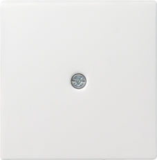 Inserto de aparamenta Gira System 55 - 027403