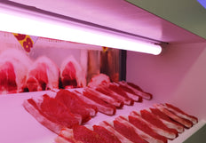 Tubo De Exhibición De Carne LED T8 22W G13 1200mm - 141882