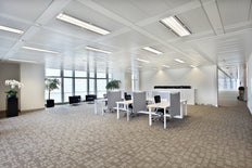 Philips Master Led T8 Alta Salida Tubo 20W 1500mm 830 - 8719514466944