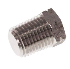 1/4'' NPT macho Tapón de cierre de acero inoxidable con barra hexagonal 275 exterior