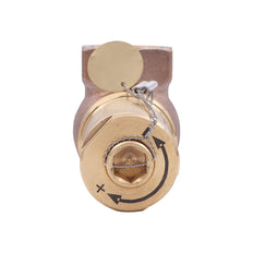 G1 1/2'' Válvula de alivio de latón 2 - 8 bar / 29 - 116 psi