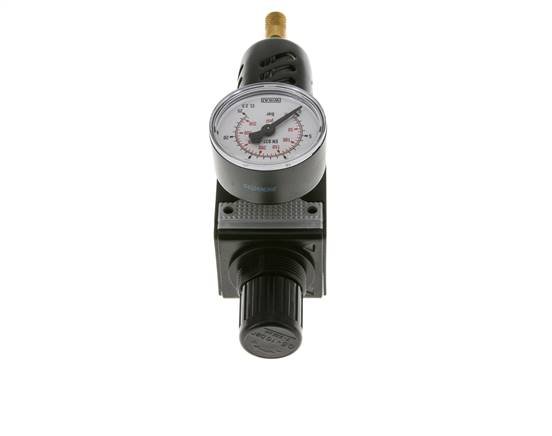 Filtro regulador G1/4'' 1600l/min 0,5-16,0bar/7-232psi Jaula de protección Multifix 1