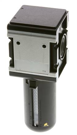 Filtro de carbón activado G1'' 3000l/min Jaula protectora semiautomática Policarbonato Multifix 4