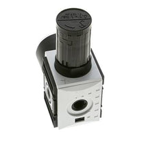 Regulador de Presión de Precisión para Ensamblaje de Colector G1/4'' 2000l/min 0.1-1.0bar/1-14psi PA Futura 1