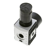 Regulador de presión para ensamblaje de colector G1/4'' 2000l/min 0.5-10.0bar/7-145psi PA Futura 1
