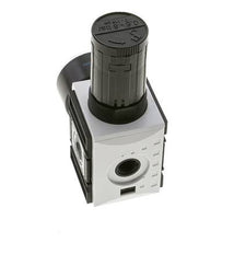 Regulador de presión para ensamblaje de colector G1/4''&3/8'' 2500l/min 0.5-8.0bar/7-116psi PA Futura 1