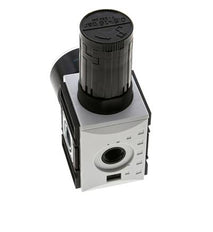 Regulador de presión para ensamblaje de colector G1/4''&3/8'' 2500l/min 0.5-16.0bar/7-232psi PA Futura 1