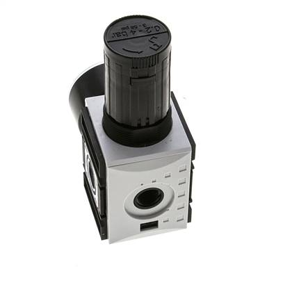 Regulador de presión para ensamblaje de colector G1/4''&3/8'' 2500l/min 0.2-4.0bar/3-58psi PA Futura 1