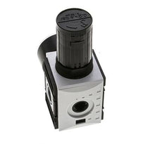 Regulador de presión para ensamblaje de colector G1/4''&3/8'' 2500l/min 0.2-4.0bar/3-58psi PA Futura 1