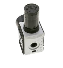 Regulador de presión para ensamblaje de colector G1/4'' 2000l/min 0.5-16.0bar/7-232psi PA Futura 1