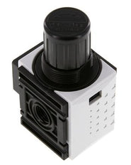 Regulador de presión G1/4'' 1000l/min 0.2-4.0bar/3-58psi PA Futura 0
