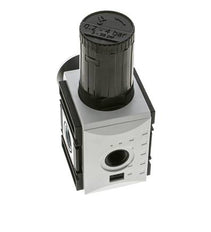 Regulador de presión para ensamblaje de colector G1/2''&3/8'' 5200l/min 0.2-4.0bar/3-58psi PA Futura 2