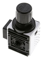 Regulador de presión para ensamblaje de colector G1/4'' 1000l/min 0.5-8.0bar/7-116psi PA Futura 0