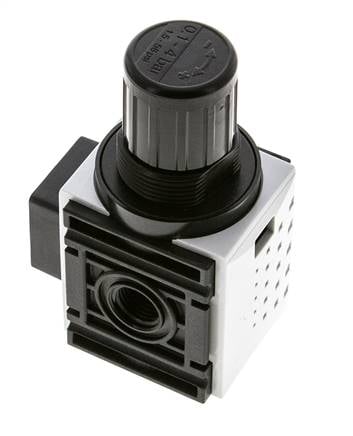 Regulador de presión para ensamblaje de colector G1/4'' 1000l/min 0.2-4.0bar/3-58psi PA Futura 0