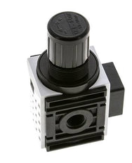 Regulador de presión para ensamblaje de colector G1/4'' 1000l/min 0.2-4.0bar/3-58psi PA Futura 0