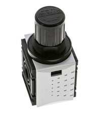 Regulador de presión para ensamblaje de colector G1/4'' 1000l/min 0.2-4.0bar/3-58psi PA Futura 0