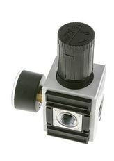 Regulador de presión G1/2'' 5200l/min 0.5-10.0bar/7-145psi PA Futura 2