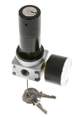 Regulador de presión para ensamblaje de colector G1/4'' 1450l/min 0.1-3.0bar/1-44psi Fundición de zinc 40 mm Manómetro Multifix 1