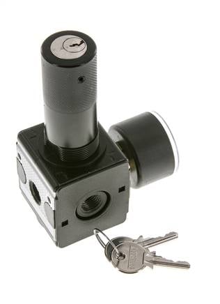 Regulador de presión para ensamblaje de colector G1/4'' 2250l/min 0.2-6.0bar/3-87psi Fundición de zinc 40 mm Manómetro Multifix 1
