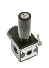 Regulador de presión para ensamblaje de colector G1/4'' 2250l/min 0.1-3.0bar/1-44psi Fundición de zinc 40 mm Manómetro Multifix 1