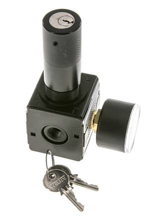 Regulador de presión para ensamblaje de colector G1/4'' 2250l/min 0.2-6.0bar/3-87psi Fundición de zinc 40 mm Manómetro Multifix 1