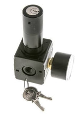 Regulador de presión para ensamblaje de colector G1/4'' 2250l/min 0.2-6.0bar/3-87psi Fundición de zinc 40 mm Manómetro Multifix 1