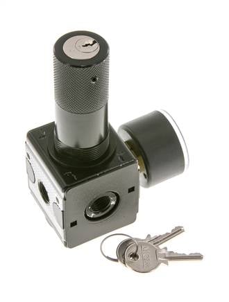 Regulador de presión para ensamblaje de colector G1/4'' 2250l/min 0.5-16.0bar/7-232psi Fundición de zinc 40 mm Manómetro Multifix 1