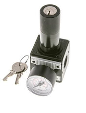 Regulador de presión para ensamblaje de colector G1/4'' 2250l/min 0.5-16.0bar/7-232psi Fundición de zinc 40 mm Manómetro Multifix 1