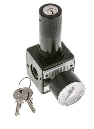 Regulador de presión para ensamblaje de colector G1/4'' 2250l/min 0.2-6.0bar/3-87psi Fundición de zinc 40 mm Manómetro Multifix 1