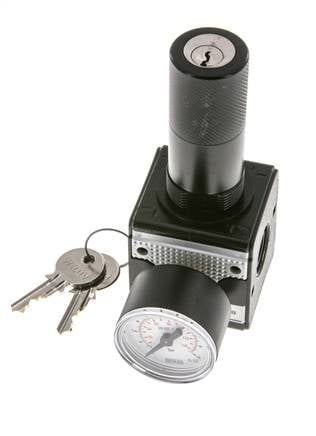 Regulador de presión para ensamblaje de colector G1/4'' 2250l/min 0.2-6.0bar/3-87psi Fundición de zinc 40 mm Manómetro Multifix 1