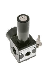Regulador de presión para ensamblaje de colector G1/4'' 2250l/min 0.2-6.0bar/3-87psi Fundición de zinc 40 mm Manómetro Multifix 1