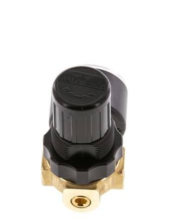 Regulador de presión G1/4'' 330l/min 0.2-6.0bar/3-87psi Aire Agua Latón Estándar 0