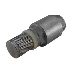 Válvula de pie de acero inoxidable G2''