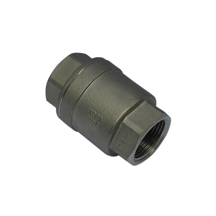 655 - G1-1/4'' Válvula de retención de acero inoxidable PTFE F/F 64bar