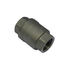 655 - G1-1/4'' Válvula de retención de acero inoxidable PTFE F/F 64bar