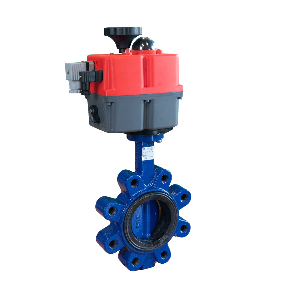 Electric Butterfly Valve DN150 24-240V AC/DC Fail-Safe Lug GGG40 FKM J+J