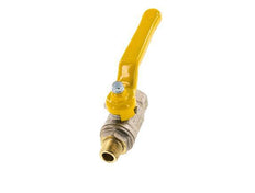 Male To Female R/Rp 1/4 inch Gas 2-Way Brass Ball Valve