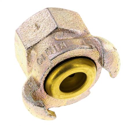 Hierro fundido DN 17 DIN 3489 Acoplamiento de garras giratorias Rp 1'' Hembra
