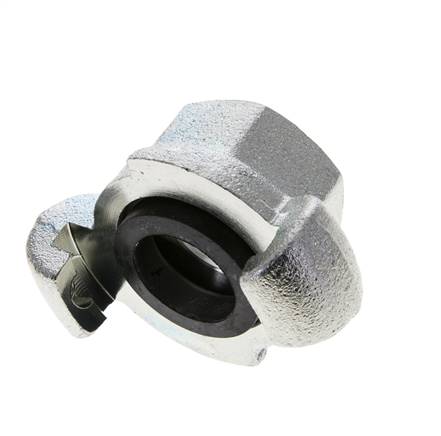 Hierro fundido DN 20 DIN 3489 Acoplamiento de garras giratorias Rp 3/4'' Hembra