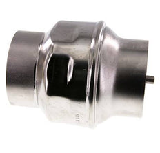 G4'' Acero Inoxidable 316 Válvula Antirretorno FEP 0.03-16bar (0.44-232psi)